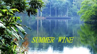 SUMMER WINE (夏日美酒  )-  Nancy Snatra ft. Lee Hazlewood +中文歌詞     (remaster )