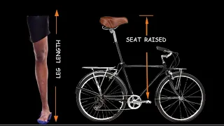 How cycling with a raised seat increases leg length.
