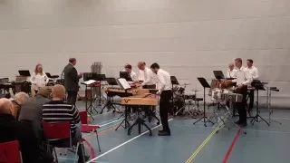 Happy hardcore percussion ensemble (Wonderful Days)