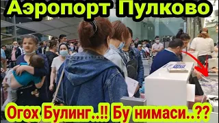 АЭРОПОРТ ПУЛКОВО.! ФАЛЬШИВЫЙ ( ПЦР ) ОГОХ БУЛИНГ.!!