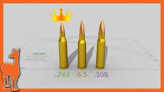 Why .243 Winchester is still my favorite cartridge | 243 Win vs 6mm Creedmoor 6.5 Creedmoor 308 Win