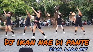 DJ IKAN NAE DI PANTE - VIRAL LAGU NTT - TIKTOK VIRAL - SENAM KREASI BY JERO MELATI