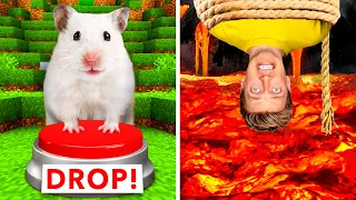Hamster Maze vs Human Traps 🐹 World’s Most Extreme Elimination Game! Last To Survive Minecraft Wins