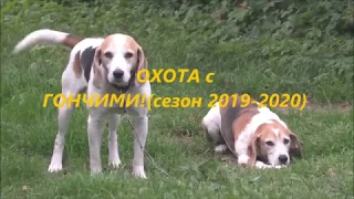 Охота с Гончими!(Сезон 2019-2020)