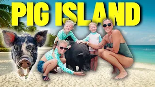 You MUST visit PIG ISLAND when in KOH SAMUI (THAILAND) 🇹🇭