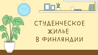 Общежитие и студенческая квартира в Финляндии