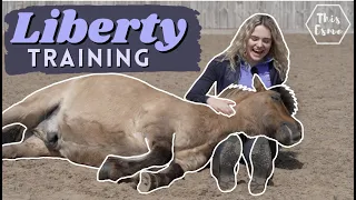 Liberty Training for Horses! Beginner Friendly | This Esme