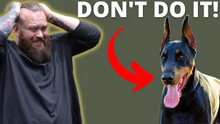 WHY YOU SHOULDN'T GET A DOBERMAN