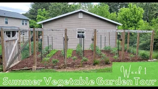 First Garden Tour of 2024: Virginia Zone 6b/7a