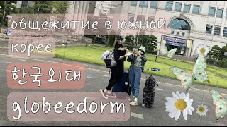 ✰ общежитие в корейском университете ✰ hankuk university of foreign studies ✰ globeedorm