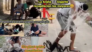 La Araña broma (P5)/A aranha 🕷️ perigosa PEGADINHA / spider prank