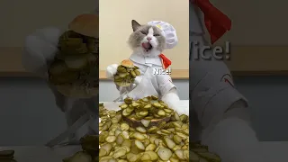 Who asked for no pickles? #thatlittlepuff #recipe #cooking #food #burger #catsoftiktok