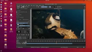 Animator Video Reference Plugin