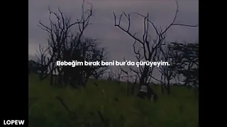 $uicideboy$ - New Chains, Same Shackles (English Subtitle + Lyrics CC) 🌟 | şuğ