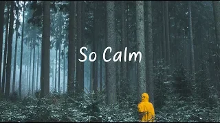 So Calm | Beautiful Chill Mix