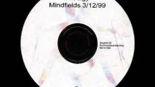 Prodigy-Mindfields(Rmx)