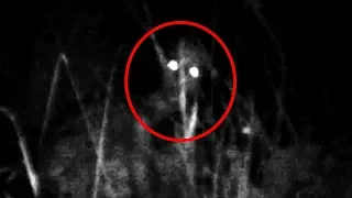10 Scary Forest Encounters Caught by Youtubers