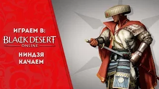 Качаем Ниндзю в Black Desert Online (MMORPG)