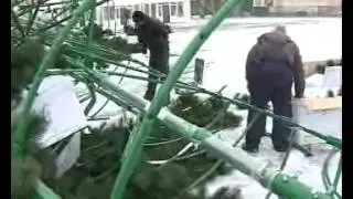 Новогодняя ёлка упала во владивостоке
