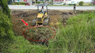 Starting New Project Clearing Forest and Fill the Land by Bulldozer DB2 with Dump Truck unloading