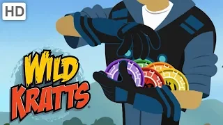 Wild Kratts - Small but Mighty Creatures 🐾 | Kids Videos