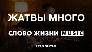 Жатвы много | Степан Асанов | Слово жизни Music | Туториал для лид-гитары