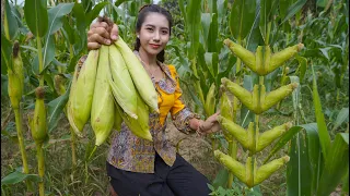 Harvest corn and cook recipe in my countryside - Polin lifestyle