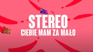 Stereo - Ciebie Mam Za Mało (Official Lyric Video)