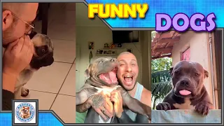 Compilation of funny dogs! Choose your favorite and leave a comment! #004 Subscribe for more!