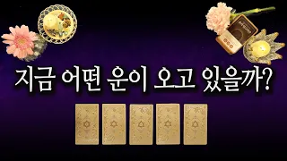 [타로카드] 나에게 이런 운이 온다고? 😍