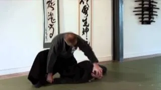 Bujinkan Bujutsu