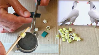 Кольца для голубей именные и маркерные. Легко и просто!!! Personalized and marker rings for pigeons
