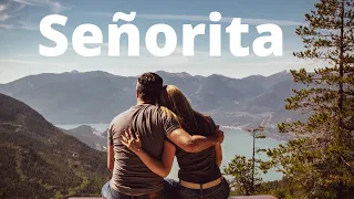 Shawn Mendes, Camila Cabello - Señorita | Senorita (No Copyright Music)