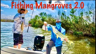 Fishing Pine Island sound mangroves for Snook and Snapper.