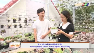 Sen đá gia nghĩa lần đầu lên sóng | succulent Gia Nghia