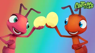 Cupcake Cream | 🐛 Antiks & Insectibles 🐜 | Funny Cartoons for Kids | Moonbug