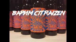 ВАРИМ ПИВО CITRAIZEN НА ПИВОВАРНЕ iBrew 40 auto#20