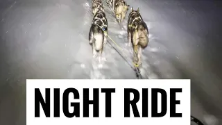 Nightrun with our Siberian Huskies through Swedish Lapland winter wonderland