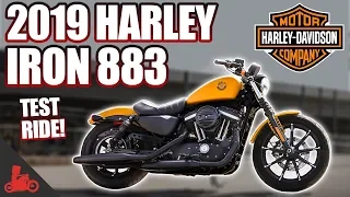 2019 Harley-Davidson Iron 883 TEST RIDE!
