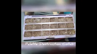 Palette Destruction Collab