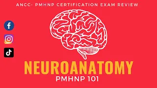 ANCC-PMHNP Domain Part 1- NEUROANATOMY | Certification Exam Review 2021 #PMHNP @WIRED @TEDEd
