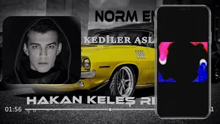 Norm Ender -  Kediler Aslan Olmaz (Hakan Keleş Remix)