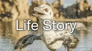 Prehistoric Life Story | Fan edited tribute