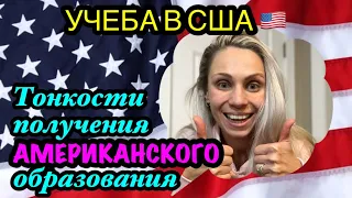 США🇺🇸 учеба в США. Тонкости получения Американского образования в колледже.