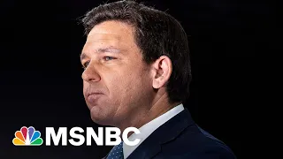 Chilling effect of DeSantis crusade against New College could backfire in brain drain