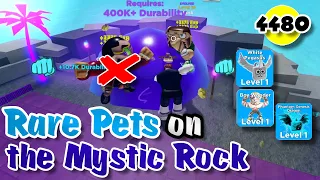 Noob to Pro #4: The Mystic Rock Only Glitches with Rare Pets | Muscle Legends Roblox