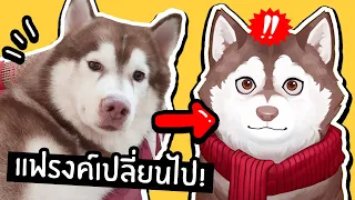 แฟรงค์เปลี่ยนไป! หมาสติแตกกลายร่าง~🐾