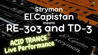 Strymon El Capistan meets 303 - Acid Trance Live Performance (Summer Open Air)