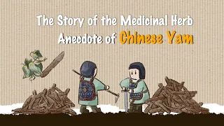 Anecdote of Chinese Yam 中药小故事-山药