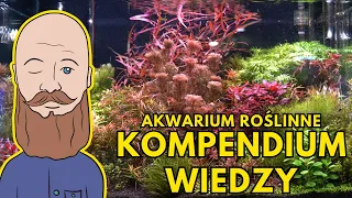 Akwarium roślinne - aktualizacja